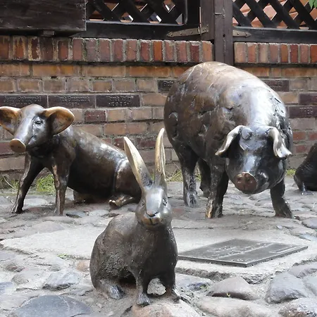 Arte-locum Przy Rynku